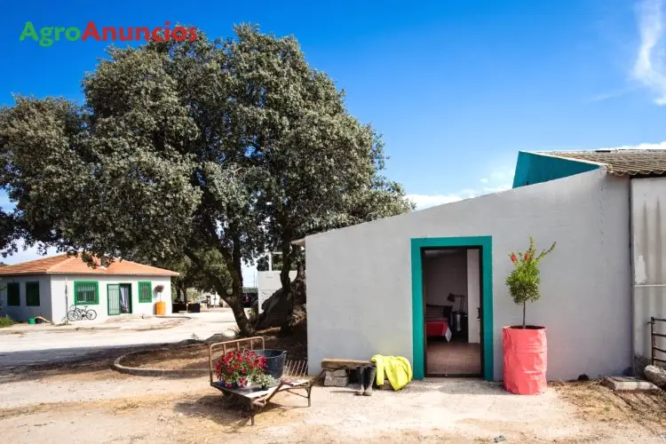 Venta  de Finca con cebadero ovino, vacuno ó cerdos en Madrid