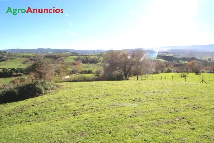 Venta  de Terreno para vivienda unifamiliar en Cantabria