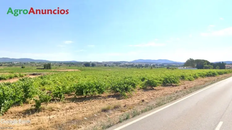 Venta  de Finca de viñedo en Valencia