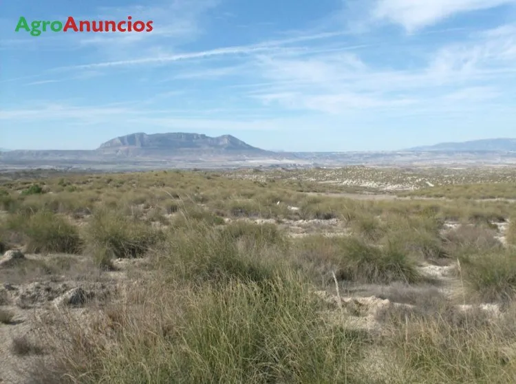 Finca para Ganadería y Turismo Rural con Cuevas