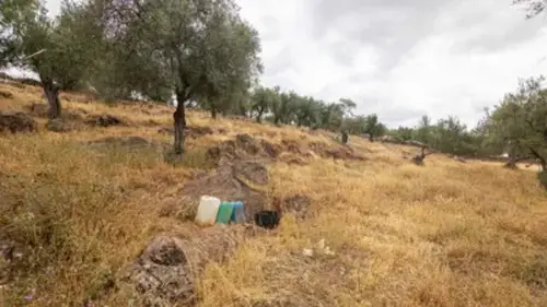 Finca rústica en venta en Cañaveral de Leon