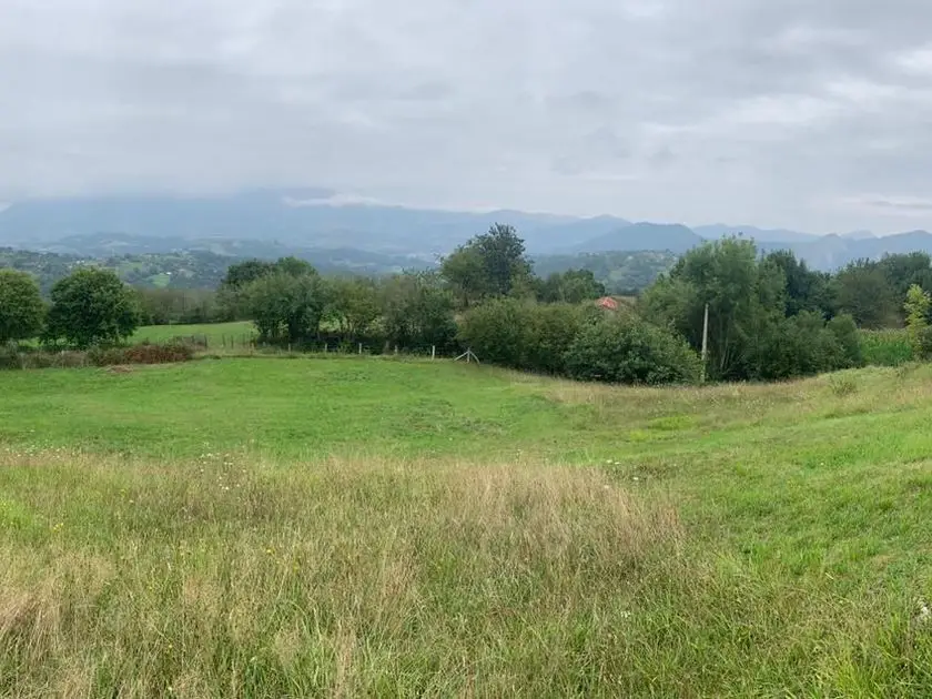 venta Terreno en Romillin, Asturias (icf-00117)- Globaliza