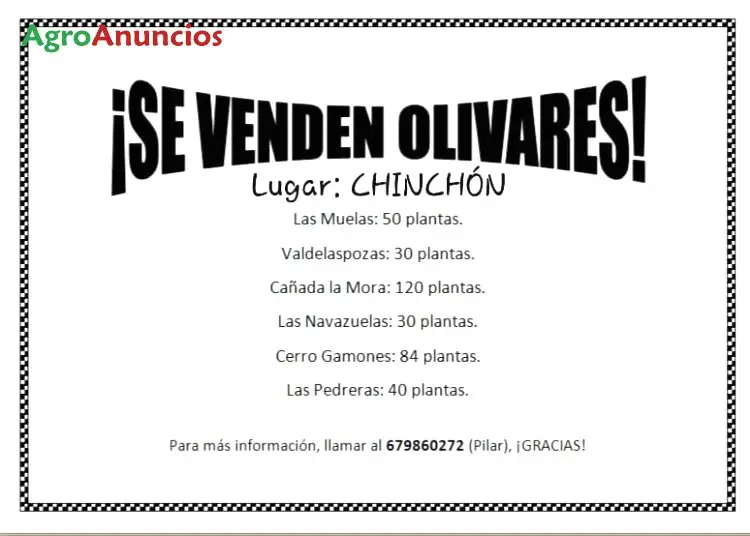 Venta  de Fincas de olivos en Madrid