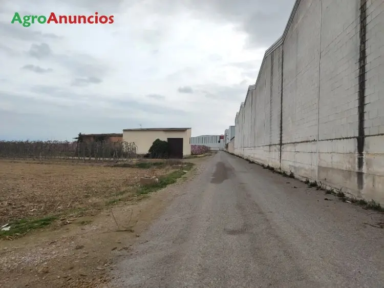 Venta  de Finca de regadío en Lleida