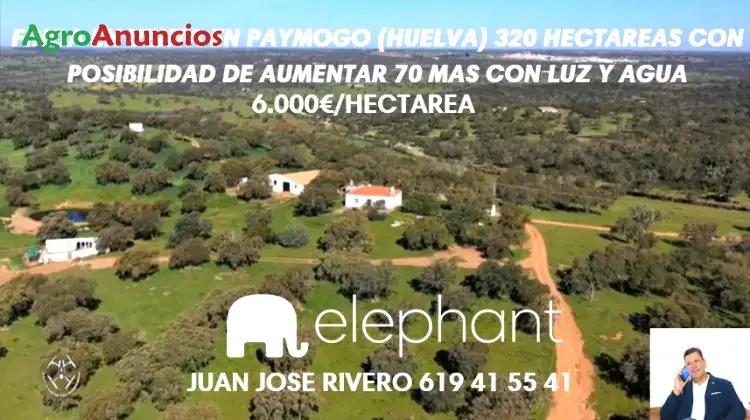 Venta  de Finca ganadera con casa en Huelva