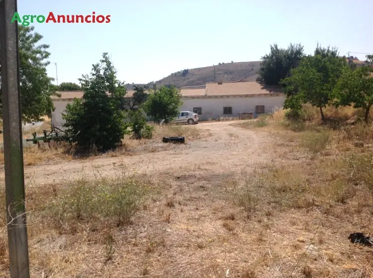 Venta  de Finca de nogales con 2 granjas en Granada