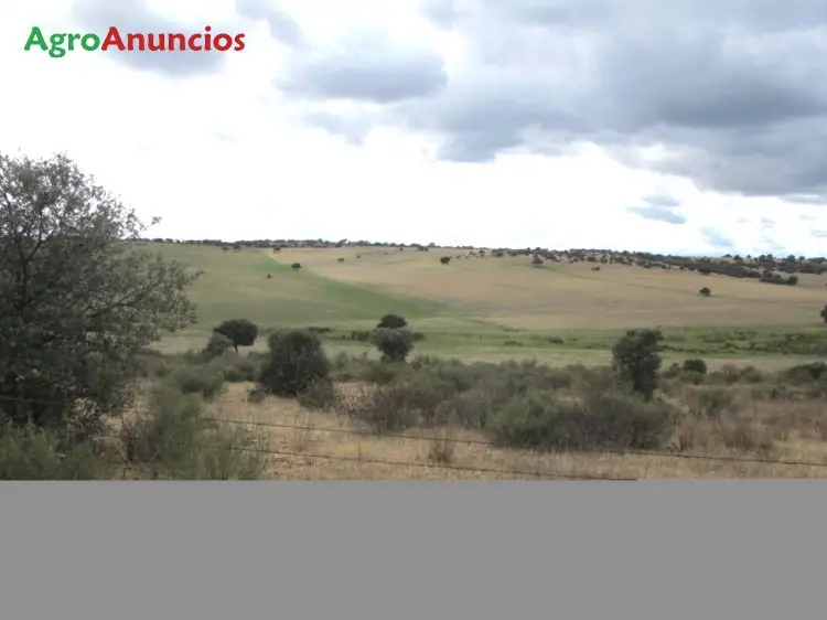 Venta  de Finca de secano con pastos en Ciudad Real