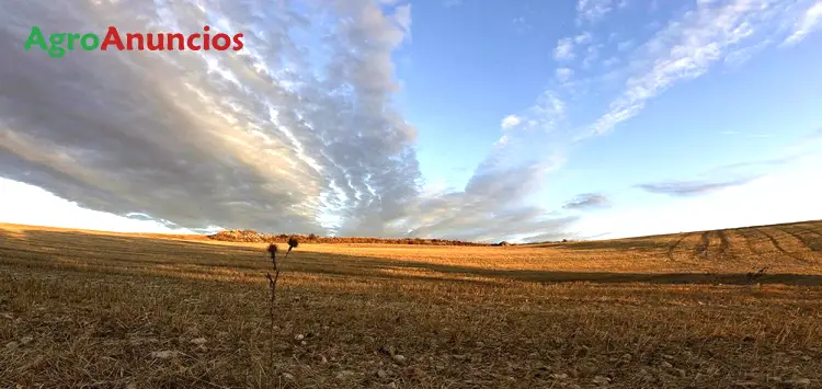 Alquiler  de Terreno de secano en Burgos