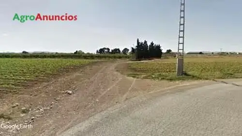 Venta  de Finca para recreo, huerta, caseta aperos en Murcia