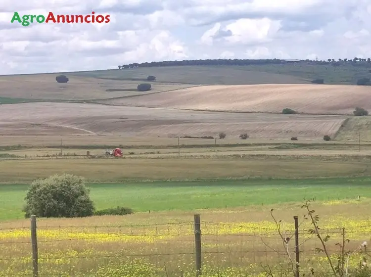 Venta  de Finca ganadera en Segovia