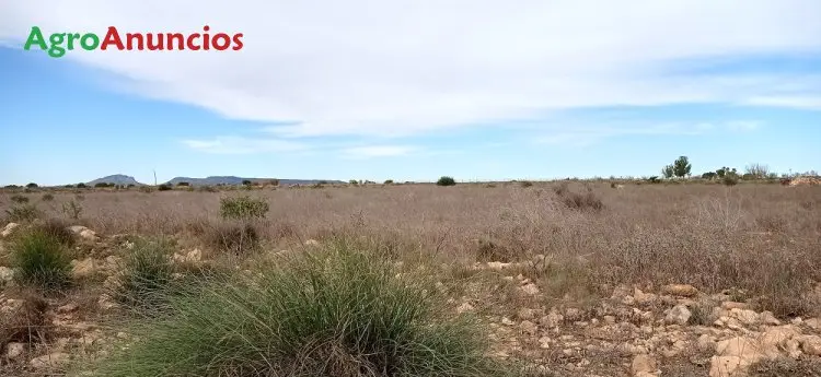 Venta  de Finca rústica cerca del mar en Murcia