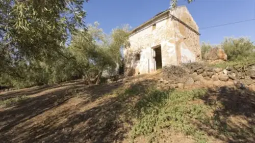 Finca rústica en venta en Calle Diseminado