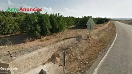 Venta  de Finca de regadío en Valencia