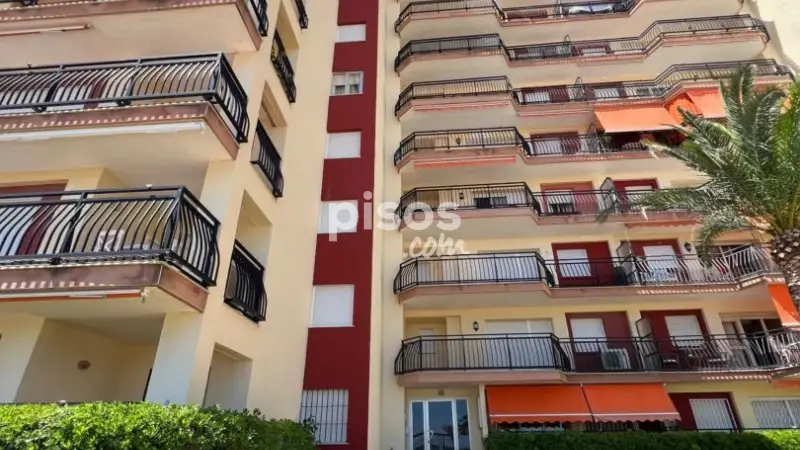 Apartamento en alquiler en Playa de Gandia