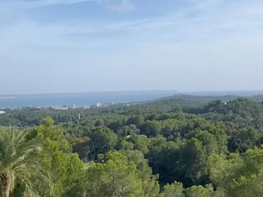 venta Chalet en Ponent, Palma de Mallorca (45881510937.100500)- Globaliza