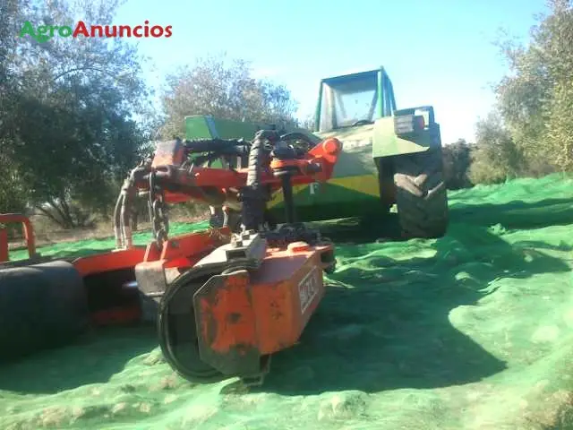 Demanda  de Fincas de olivar en Córdoba