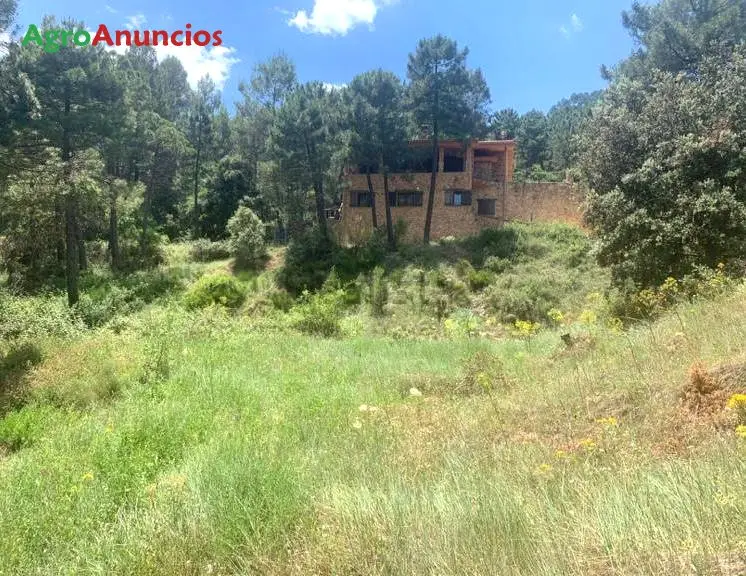 Venta  de Finca de recreo en Albacete