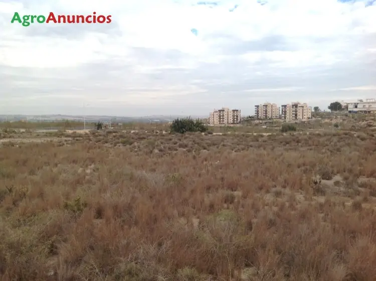 Venta  de Finca rústica en Alicante