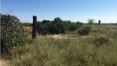 Finca rústica en venta en Norte