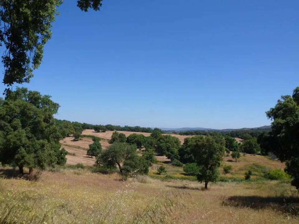 Terreno en Valencia De Alcantara, Cáceres provincia