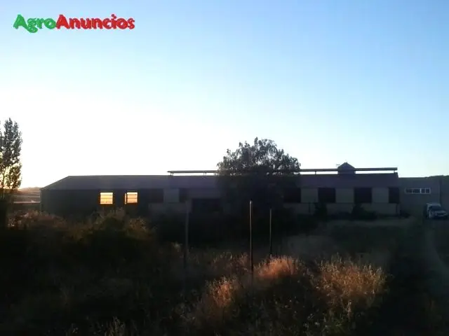 Alquiler  de Nave ganadera en Burgos