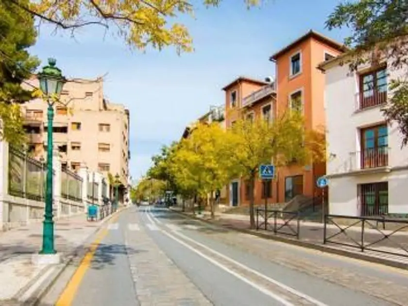 venta Local Comercial en Granada, Granada Provincia (PLN-45060)- Globaliza