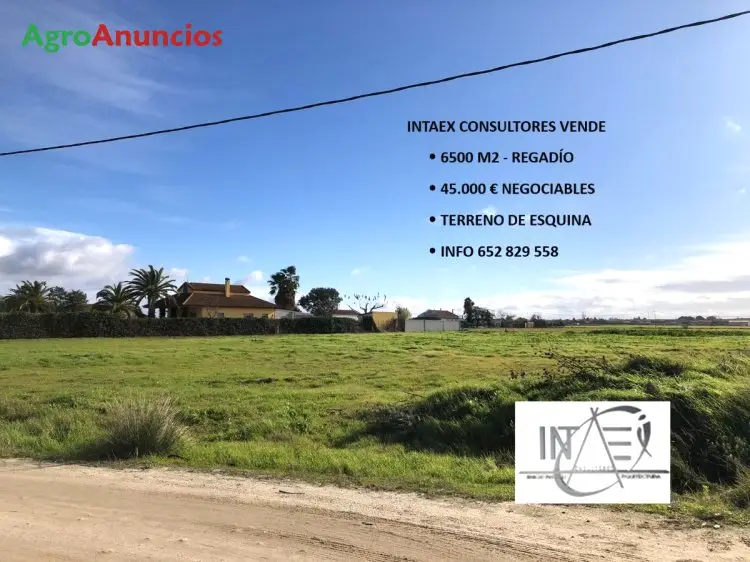 Venta  de Finca de regadío en Badajoz