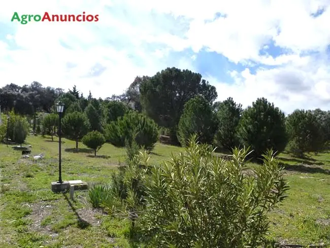 Venta  de Finca de recreo en Toledo