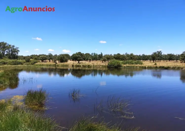 Venta  de Finca ganadera en Salamanca