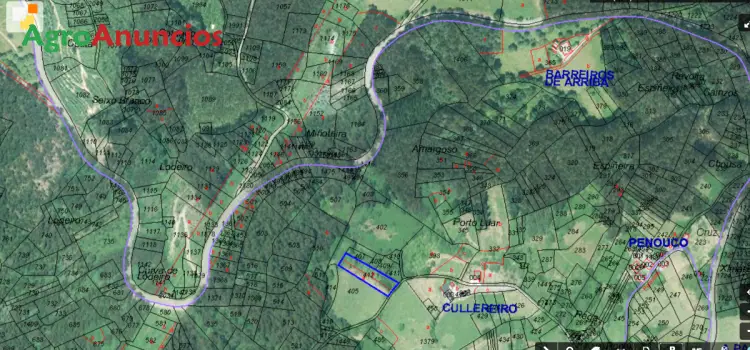 Venta  de Terreno forestal en Lugo