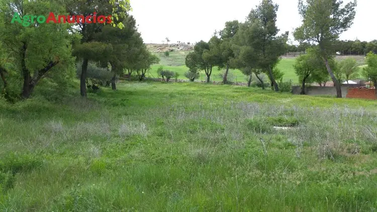 Venta  de Finca rural con casa en Cuenca