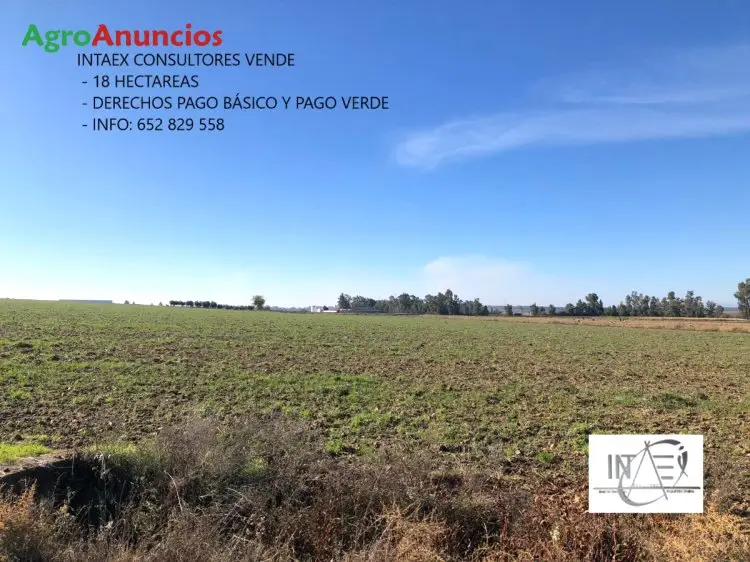 Venta  de Finca de regadío en Badajoz