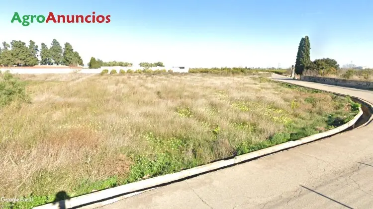 Venta  de Finca de suelo urbanizable y rustico en Valencia