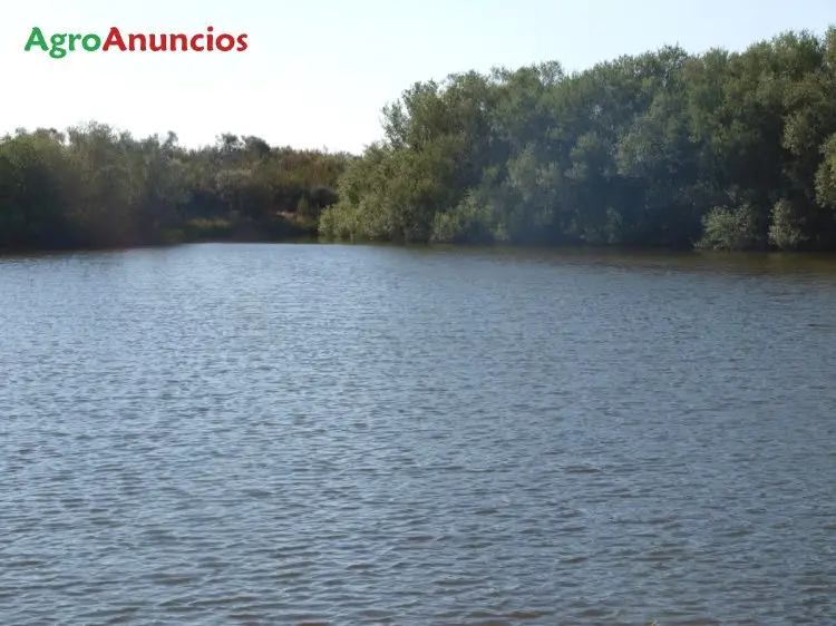 Venta  de Finca de caza mayor en Cáceres