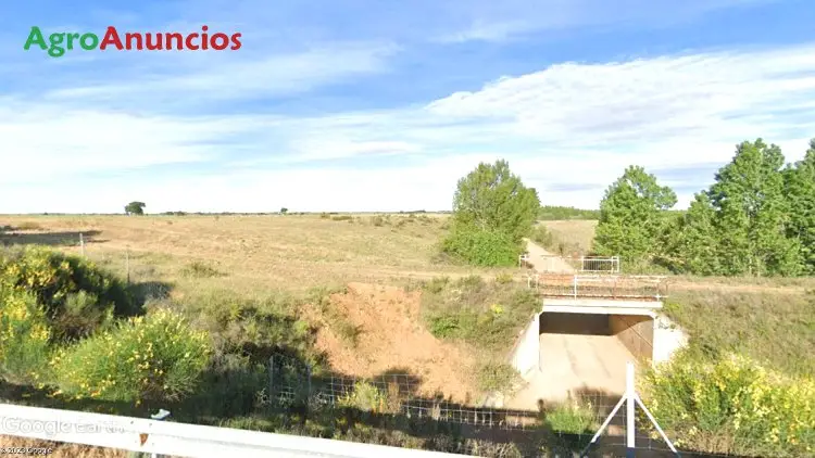 Venta  de Terreno de secano en León