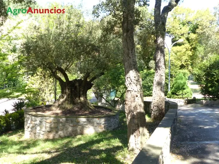 Venta  de Finca rustica con importante restaurante en Girona