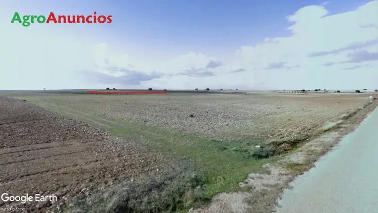 Venta  de Finca de labor secano, para actividad agraria en Albacete