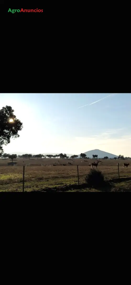 Venta  de Finca de recreo en Ciudad Real