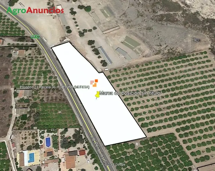 Venta  de Finca de  limoneros verna en Murcia