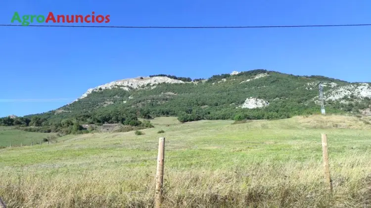 Venta  de Casa con terreno en Navarra