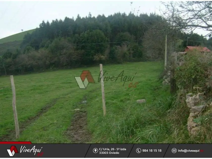 venta Terreno en Quintes, Asturias (029500284)- Globaliza