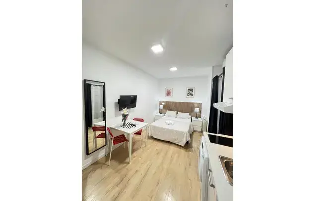 Estudio Moderno Amueblado en Madrid 3-24 Meses