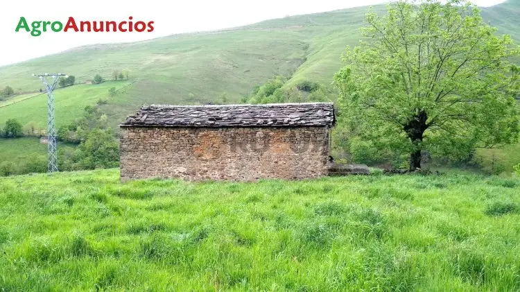 Venta  de Finca con cabaña montañesa en Cantabria