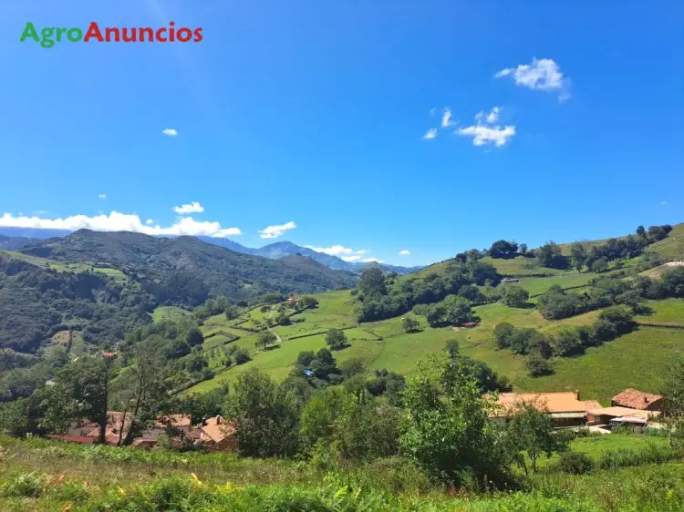 Venta  de Finca edificable en Asturias