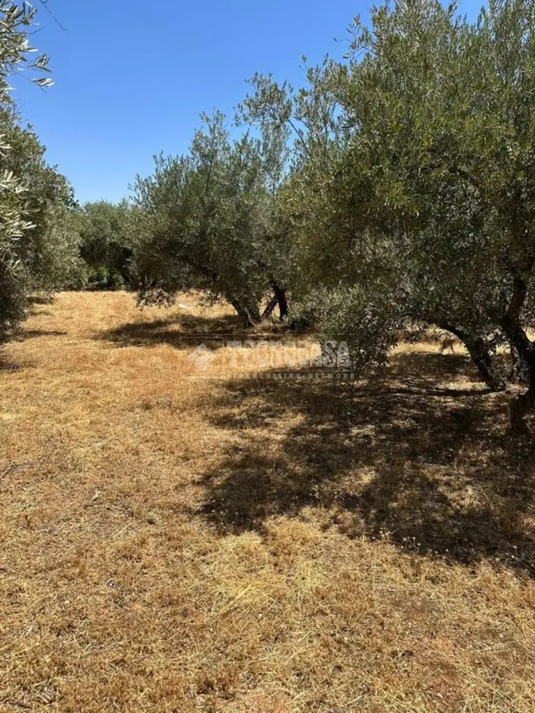 Terreno en Venta Albolote 900m2 Edificables