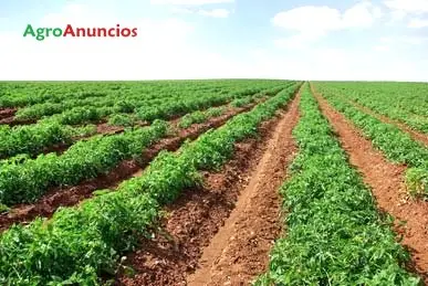 Venta  de Finca de regadío en Badajoz