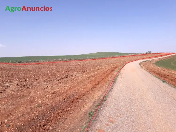 Venta  de Finca de secano en Salamanca