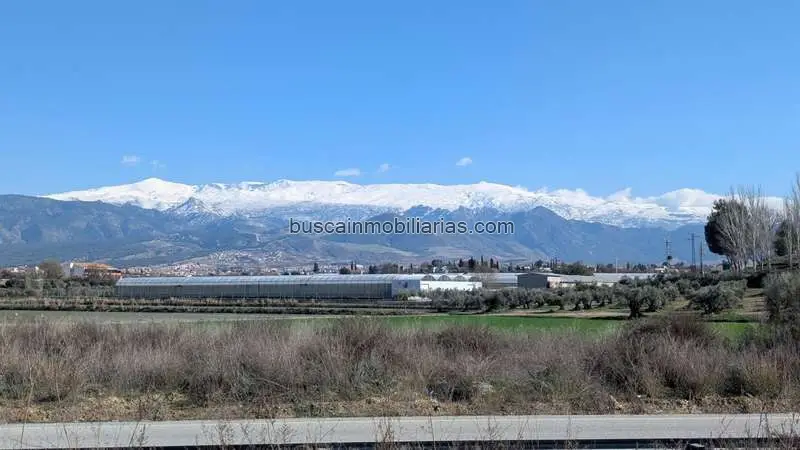 Parcela Rustica en Venta Las Gabias con Vistas Sierra Nevada