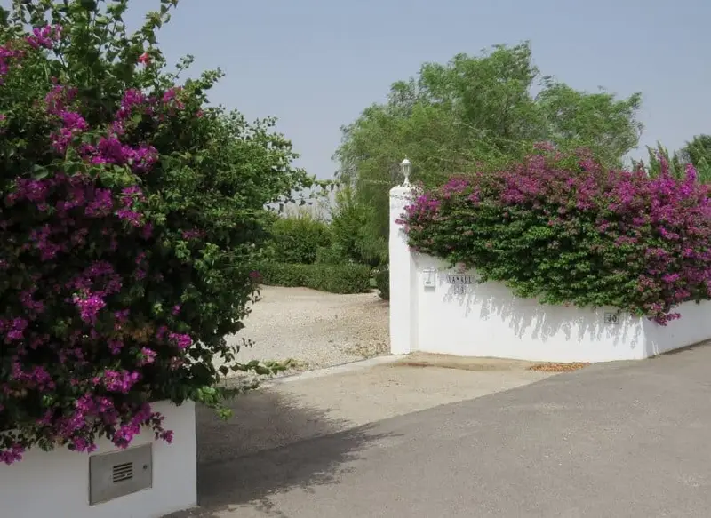 Finca/Casa Rural en venta en Dolores, Alicante