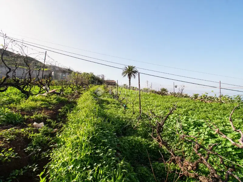 Terreno en Venta El Sauzal 1131m2 Construccion 600m2 Vistas